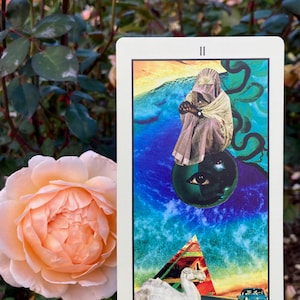May include: A tarot card titled "The High Priestess" featuring a collage-style image. The card depicts a figure in a head covering, a pyramid, and a camel. The card is held in front of a peach-colored rose.