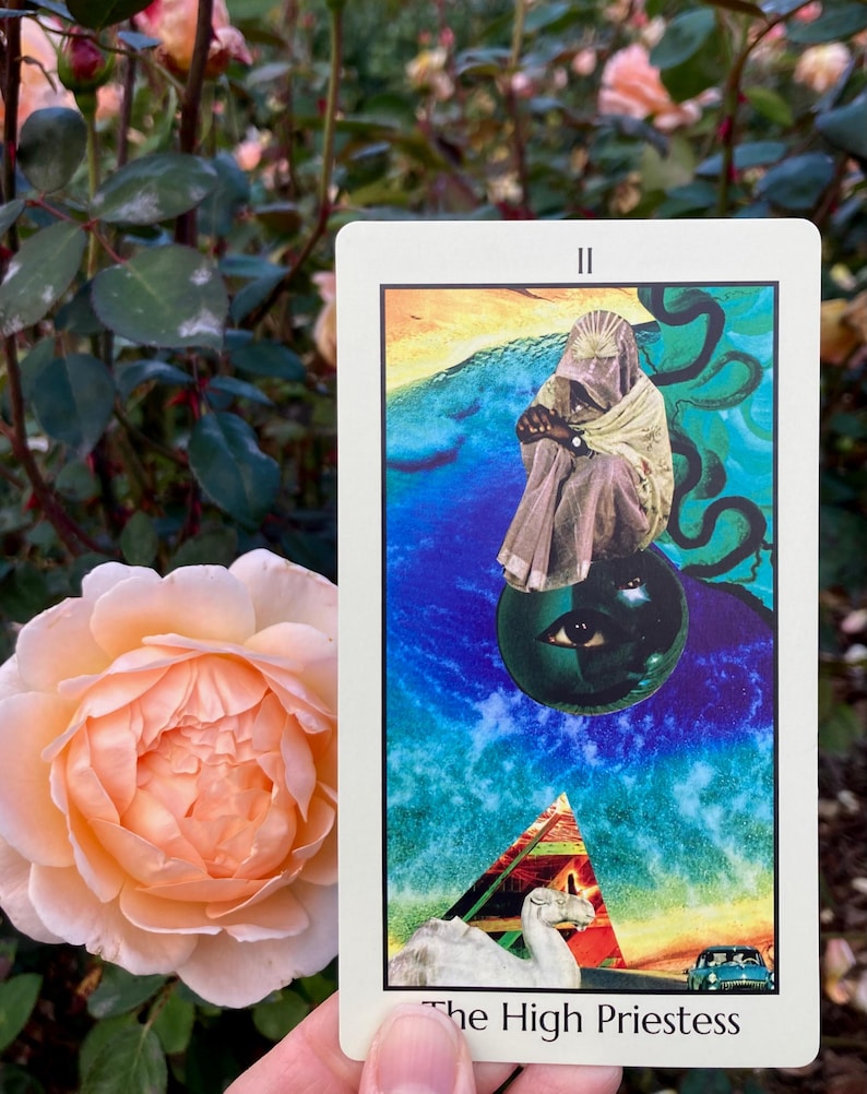 May include: A tarot card titled "The High Priestess" featuring a collage-style image. The card depicts a figure in a head covering, a pyramid, and a camel. The card is held in front of a peach-colored rose.