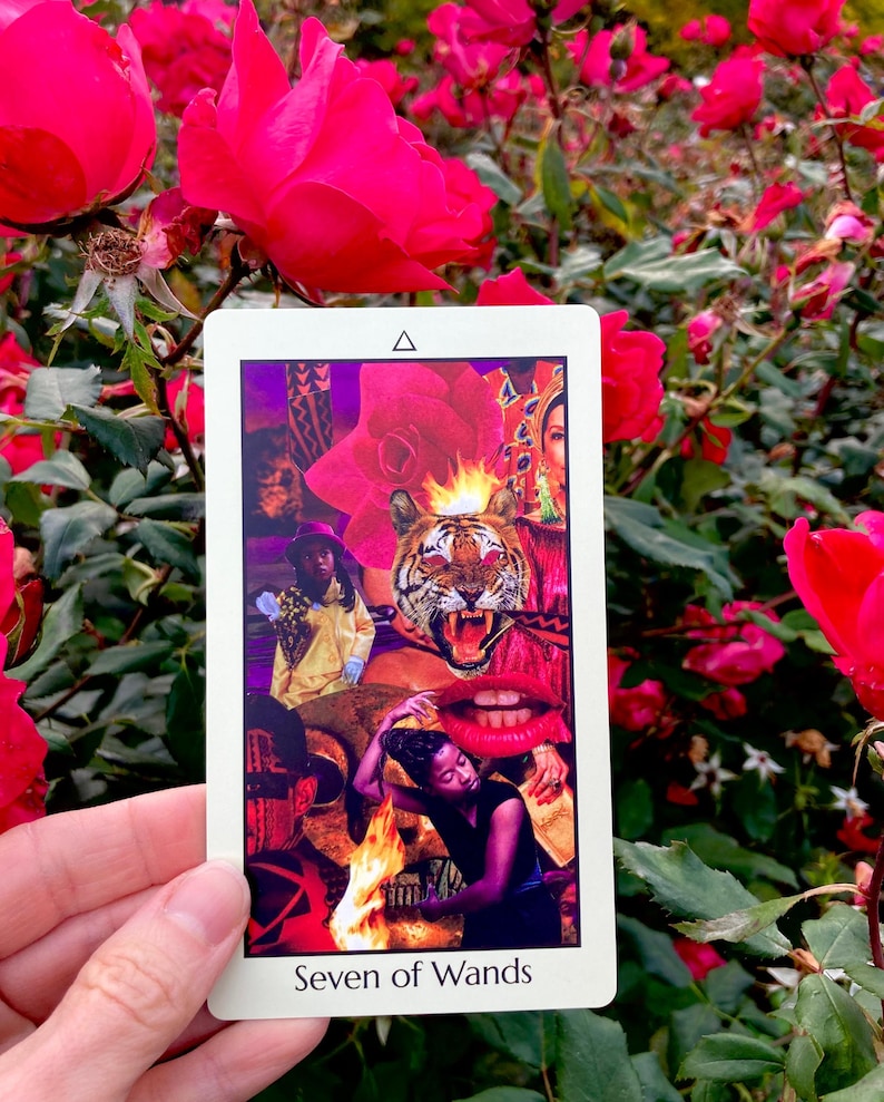 May include: A tarot card titled "Seven of Wands" is held in front of a backdrop of red roses. The card features a collage with a tiger, flames, and figures. The card has a white border and a small triangle at the top.