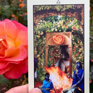 May include: A tarot card with a floral and mythological design. The card features a central image of a rose, figures in blue, and a fire. The text "Four of Wands" is at the bottom. The card is held in front of a background of roses.