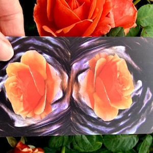 May include: A card featuring two orange rose illustrations against a dark, swirling background. The card is held in front of a backdrop of vibrant orange roses and green foliage, creating a contrast of textures and colors.