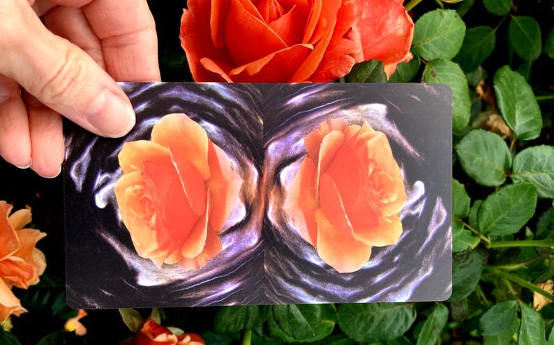 May include: A card featuring two orange rose illustrations against a dark, swirling background. The card is held in front of a backdrop of vibrant orange roses and green foliage, creating a contrast of textures and colors.