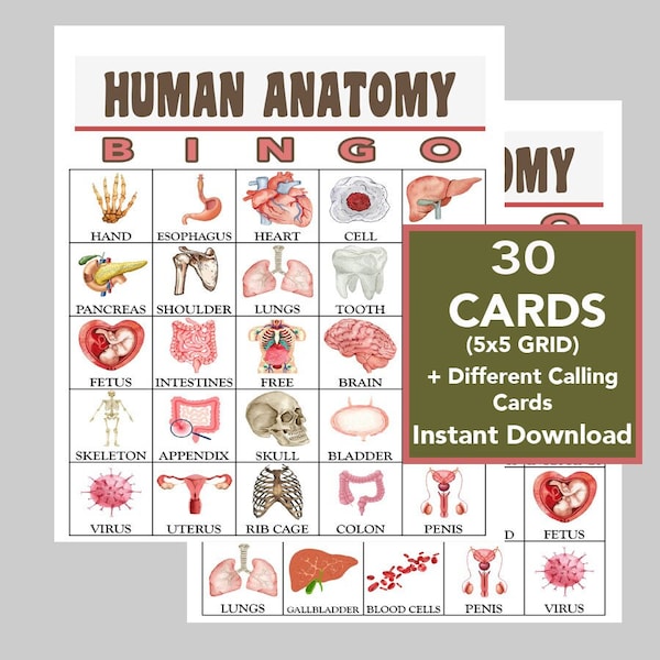Human Anatomy, Human Body Bingo Game, Human Organs, Digital Downloads, Printable Games, 30 Different Cards, Call List Included