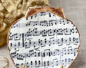 Sheet Music Scallop Shell
