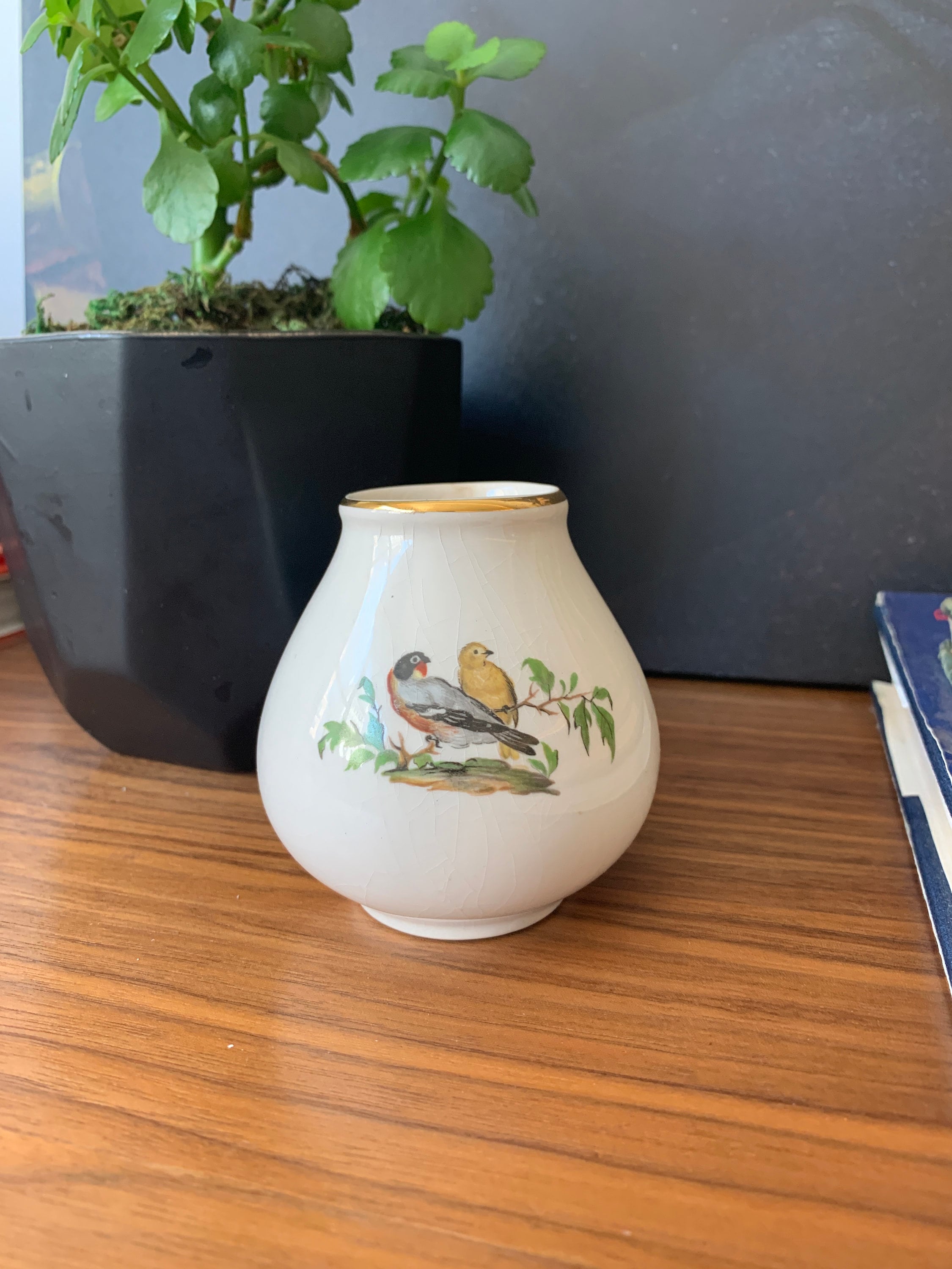 1950s Crown Devon - Etsy