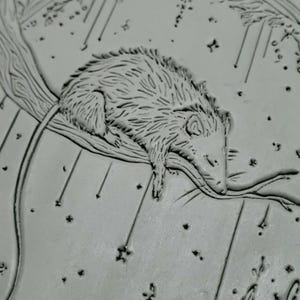 May include: A gray, textured relief sculpture of a possum resting on a tree branch. The possum is depicted with detailed fur and a relaxed posture. The background features stylized stars and lines, creating a serene, nighttime scene.
