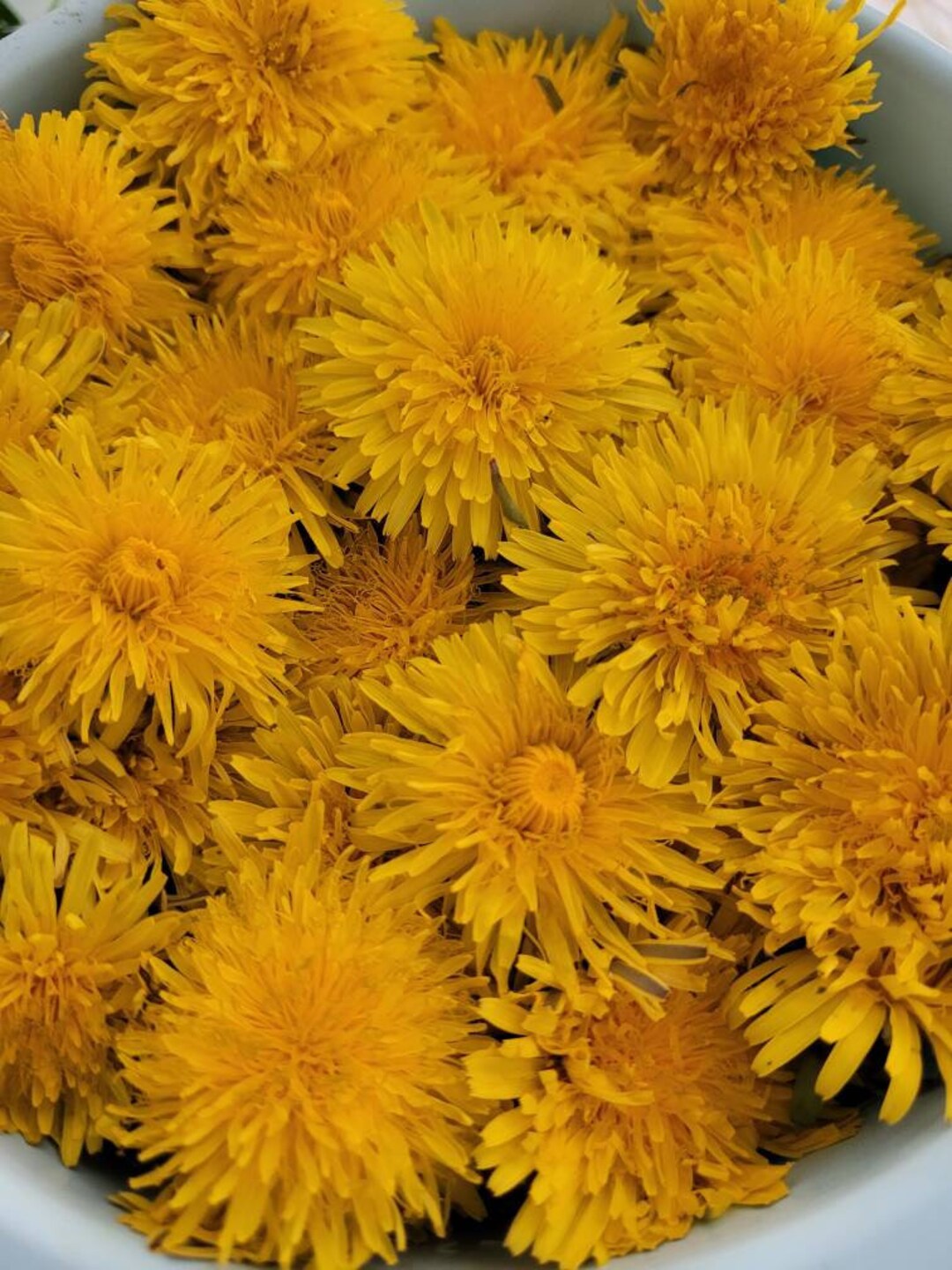 Dried Dandelion Flower Tea, Real Plants, Natural Herbal Tea, 2023 Fresh