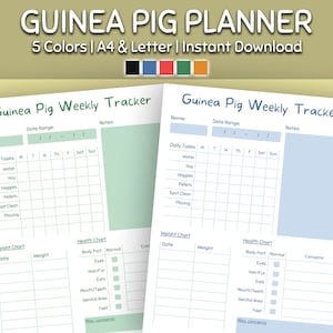 May include: Printable Guinea Pig Weekly Tracker planner in two color options: green and blue. The planner includes sections for daily tasks, weight chart, and health chart. The planner is designed for A4 and Letter size paper.