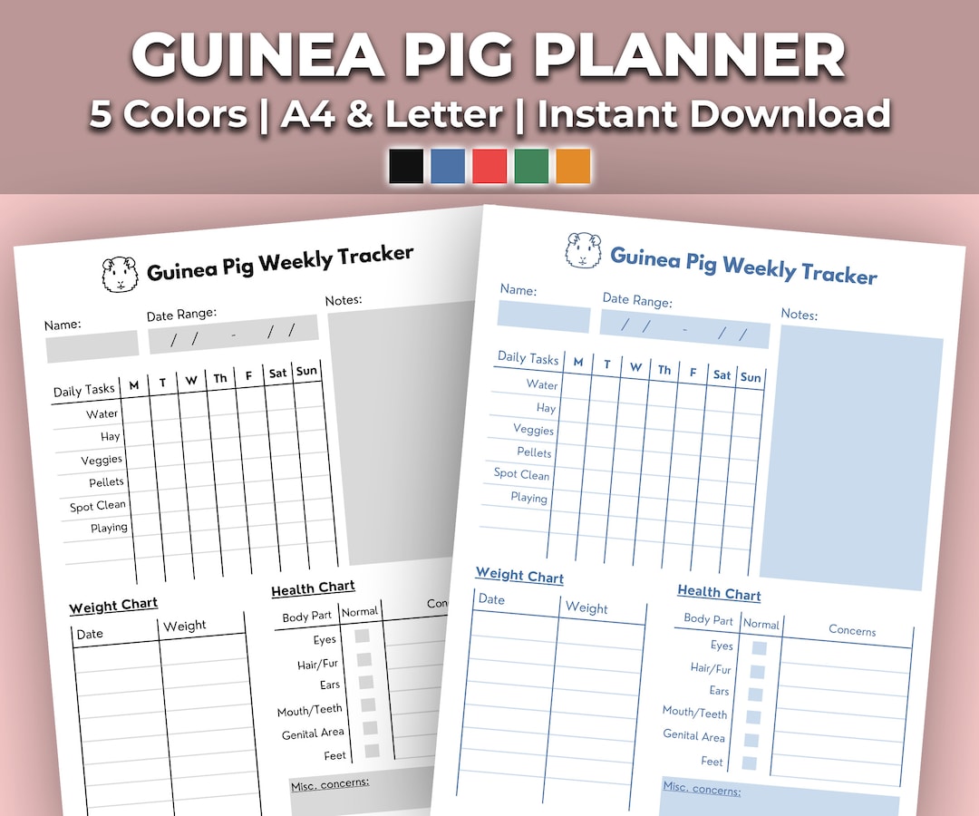 Guinea Pig Planner Printable - Weekly Planner | Guinea Pig Care With ...
