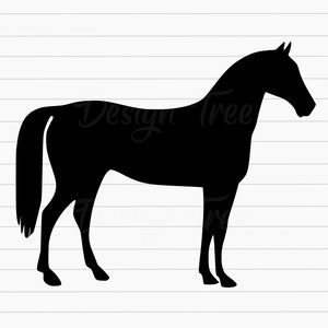 Horse SVG, Pony SVG, Equestrian SVG, Mustang Svg, Farm Animal Svg, Horse Cut File, Horse Vector, Horse Clipart, Cricut, Png, Silhouette