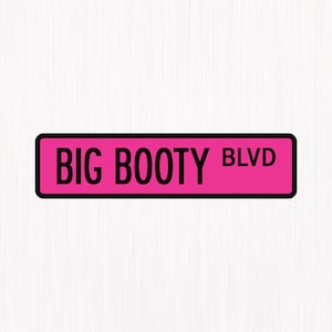 Op de afbeelding: Een rechthoekig bord met de tekst "BIG BOOTY BLVD" in vette zwarte letters op een felroze achtergrond. Het bord heeft een zwarte rand en staat tegen een witte achtergrond.