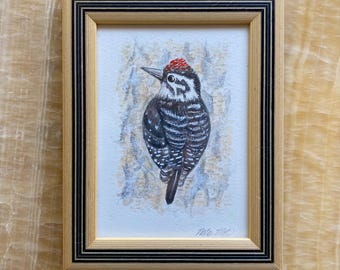 May include: A framed watercolor painting of a woodpecker. The bird has a red cap, black and white patterned feathers, and a long, dark beak. The artwork is set against a textured, light-colored background and framed in a light wood frame with black accents.