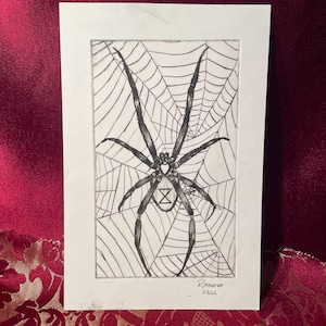 May include: A black and white drawing of a spider and its web, framed in a white mat. The spider has a distinctive hourglass marking on its abdomen. The artist's signature and the year 2022 are visible in the lower right corner.