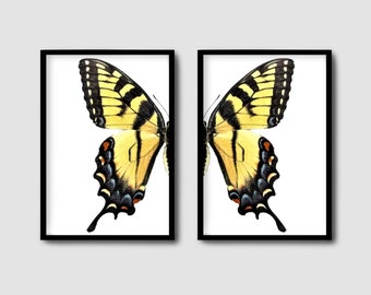 Butterfly Photograph Set of 2 Digital Downloads, Diptych and single print, Insect Art, Home Decor,Printable Photography, Eclectic Unique Art