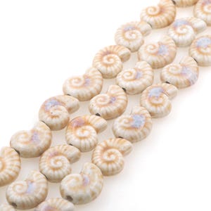 Könnte beinhalten: Eine Strähne aus weißen Keramikperlen in Form von Muscheln. Jede Perle hat ein braunes Spiralmuster.