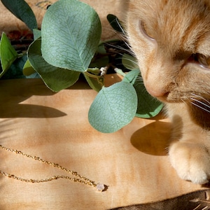 May include: A delicate gold chain necklace with a small, clear gemstone pendant. The necklace is lying on a wooden surface with a green leafy branch and a ginger cat in the background.