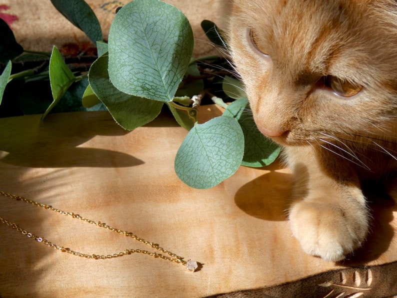May include: A delicate gold chain necklace with a small, clear gemstone pendant. The necklace is lying on a wooden surface with a green leafy branch and a ginger cat in the background.