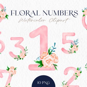 Numeri rosa acquerello con fiori – Clipart numerici floreali 0-9 per baby shower, compleanno, inviti, scrapbooking