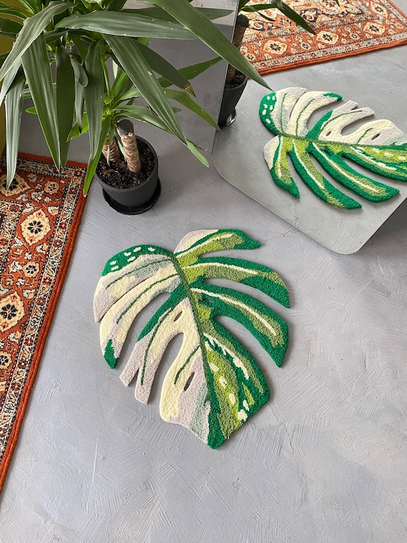 kletternder philodendron pflege Philodendron sodiroi – Kletter-Philodendron mit silbrigen Flecken main image 1