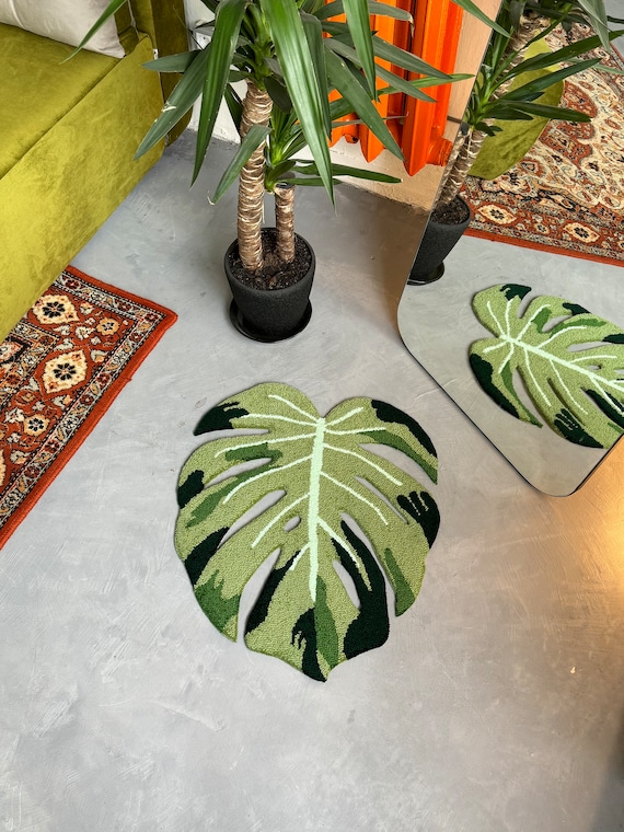 philodendron bipennifolium golden Golden Violin Philodendron - 4