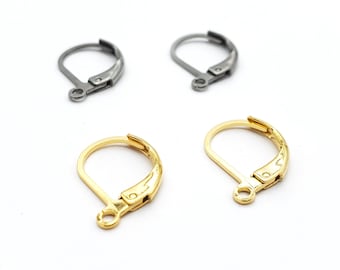 Stainless Steel Lever Back Earring Hooks Oval Round Shaped for Jewelry Making