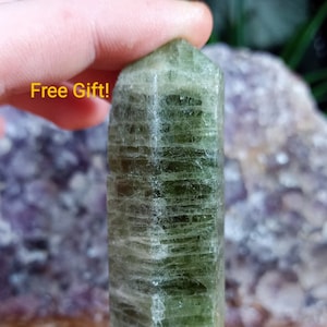 Large Raw Terminated Green Apatite Crystal - Green Fluorapatite Specimen - Free Gift - Tory Hill, Ontario, Canada