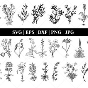 Wildflower Svg Bundle | Flower svg | Floral svg Bundle | wildflower svg | Floral svg | Botanical svg | Flower clipart | svg files cricut