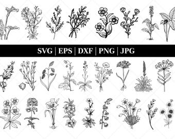 Wildblumen SVG-Bundle | Blumen svg | Blumen svg Bundle | Wildblumen svg | Blumenmuster | Botanische svg | Blumen Clipart | svg Dateien cricut