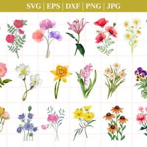 Archivo de corte de paquete de Svg botánico, floral, hoja de flor, hojas, clipart botánico dibujado a mano estilo doodle svg, png, eps, para cricut