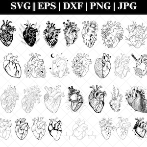 Anatomisches Herz SVG, Krankenschwester Leben, Anatomisches Herz, Anatomisches Herz, Anatomisches Herz, Anatomisches Herz, Anatomisches Herz, Anatomisches Herz, Cut File Cricut, Silhouette