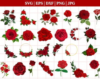 ROSE SVG FILE, Rose Svg Bundle, Roses Svg, Rose Clipart, Flower Svg, Roses Template Svg, Rose Bouquet Svg, Red Rose Svg, Rose Png, Vector