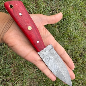 Custom Hand Forged Damascus Steel Hunting Fix Blade Knife w/ Wood Handle