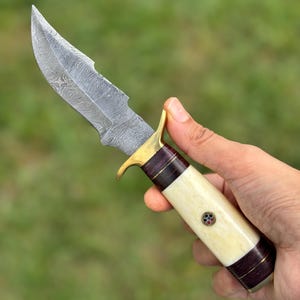 May include: A Damascus steel knife with a cream-colored handle, accented with dark brown bands and a brass bolster. The blade has a unique pattern. The knife is held against a blurred green background.