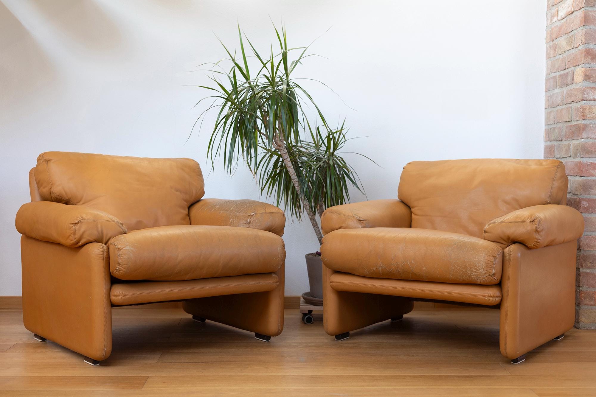 B&b Italia Chairs Denmark