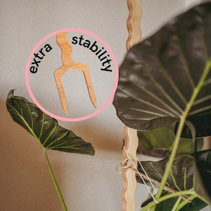 Palo ondulato per piante 100 cm + forcella di stabilità / Supporto a paletto per piante da interno / traliccio