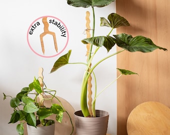 Wiggly-Pflanzstab 100cm + Stabilittsgabel / Wiggly Pole Support for Indoor  Plants / Spalier - Etsy.de