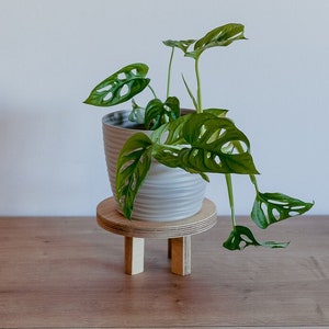 Wooden flower stand / plant stand / plant riser 8x16cm