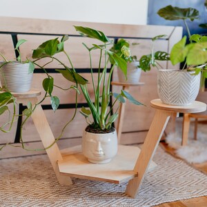 Pode incluir: Um suporte para plantas de madeira com três níveis, cada um com uma planta em vaso. O suporte é feito de madeira clara e tem um acabamento natural. As plantas são todas verdes e frondosas, e os vasos são brancos.