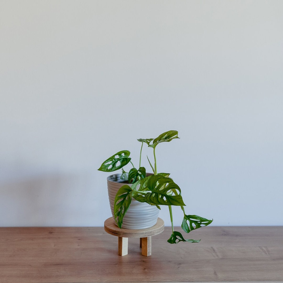 Wooden Flower Stand / Plant Stand / Plant Riser 8x16cm - Etsy