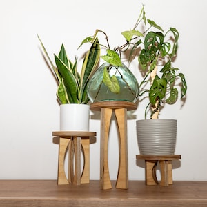 Peut inclure: Trois supports de plantes en bois avec trois plantes différentes. Les supports sont en bois brun clair et ont un design simple. Les plantes sont un sansevieria, un monstera et une plante dans un vase en verre.