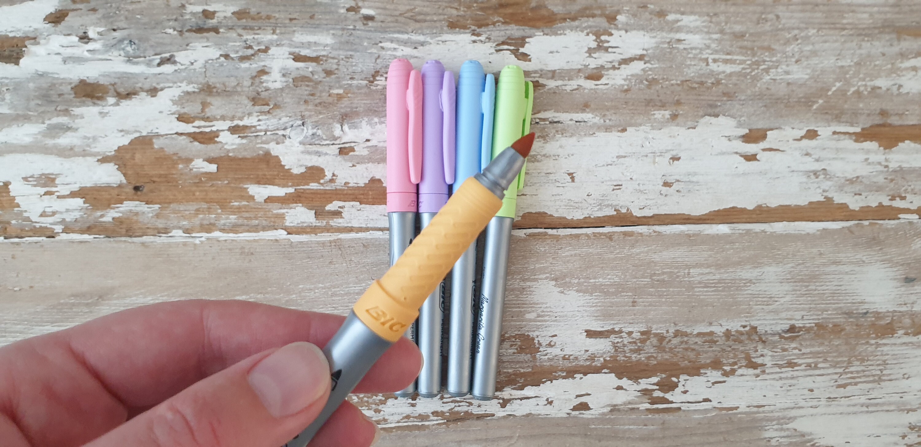 Bic Pastel Permanent Markers Pack of 5 Etsy