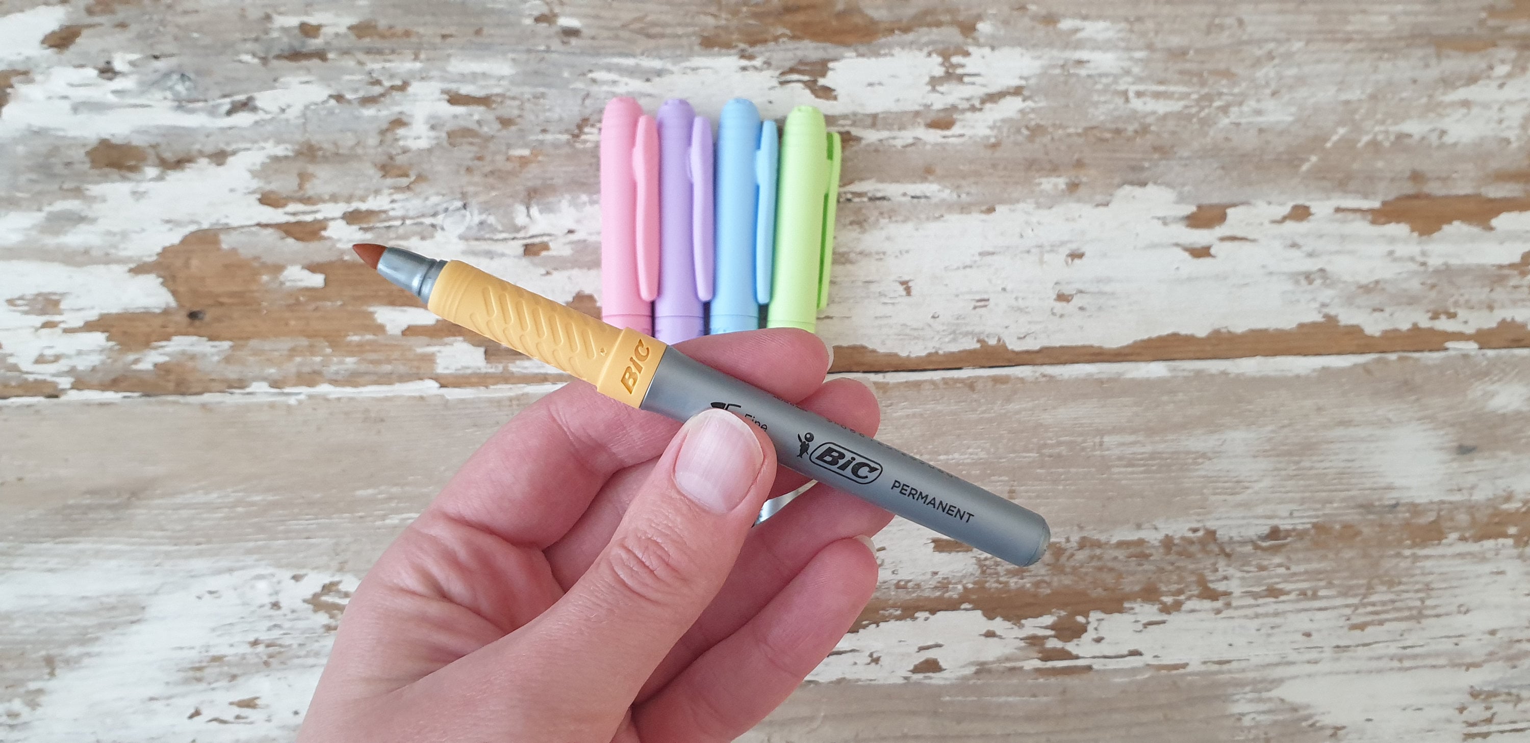 Bic Pastel Permanent Markers Pack of 5 Etsy