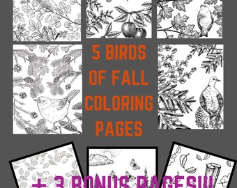 5 classic adult fall coloring sheets depicting birds of fall/autumn. 3 bonus coloring pages depicting fall/ autumn scenes.