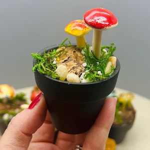 NEW! Miniature terracota pots with glass mushrooms sprouting from driftwood - the perfect homes for handmade glass critters!