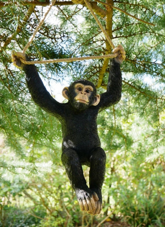 Hanging Monkey Themed Garden Ornament | Monkey With Rope Ornament