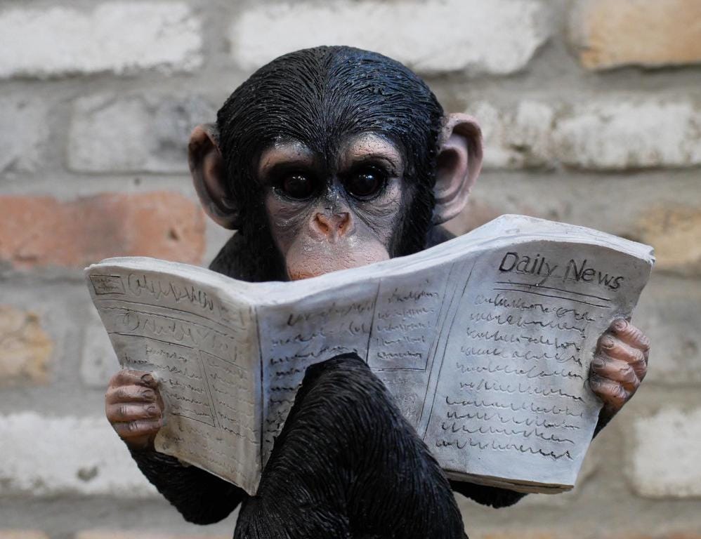 Intellectual Monkey Reading the News Resin Ornament - Etsy