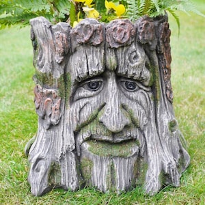 May include: A grey concrete planter shaped like a tree stump with a face carved into it. The face has a bushy beard, a wide nose, and two large eyes. The planter is sitting on a bed of green grass.