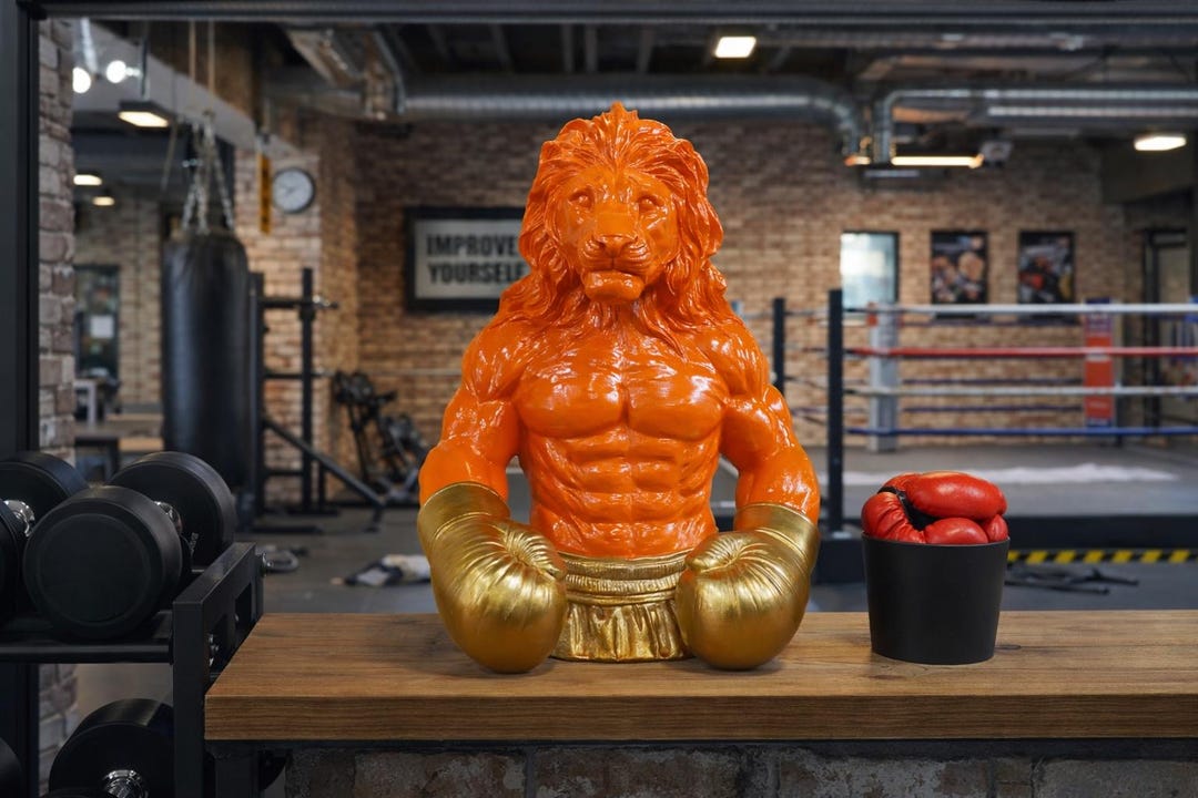 Boxing Stachu Box Large Orange Boxing Lion Statue – Gold Gloves Gym Decor Sculpture - Etsy UK