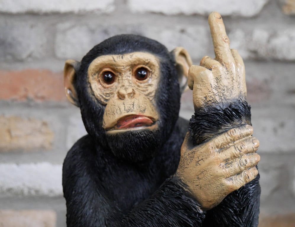 Large Resin Middle Finger Monkey Ornament | Funny Home Decor