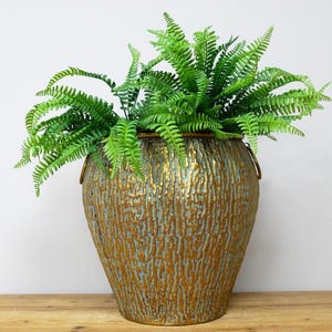 May include: A green fern plant in a large, textured, gold and green metal planter with two handles.